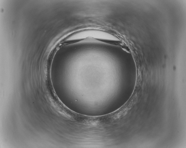 X0000087550247200705112128