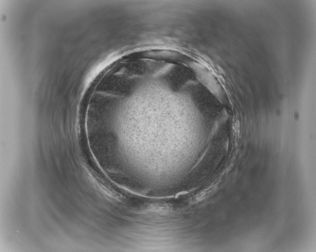 X0000087550248200705112128