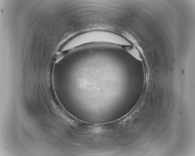 X0000087550249200705112128