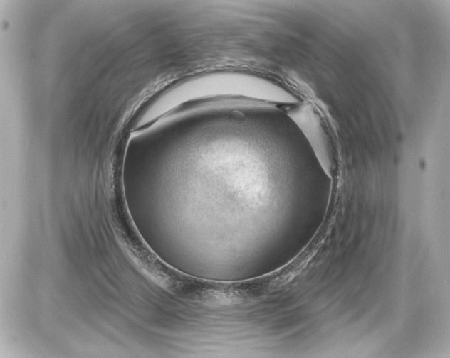 X0000087550250200705112128