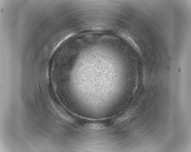 X0000087550251200705112128