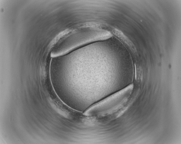 X0000087550252200705112128