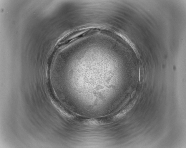 X0000087550253200705112128