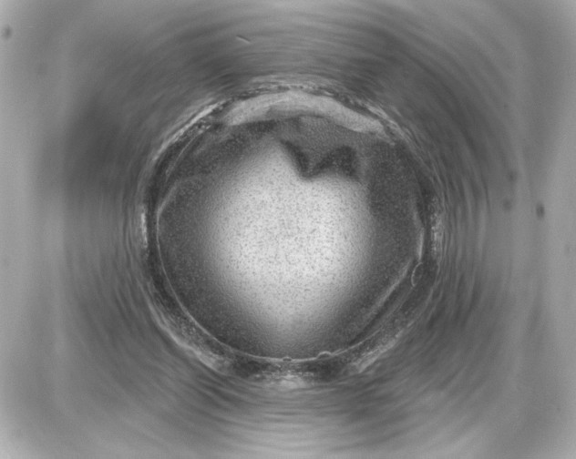 X0000087550254200705112128