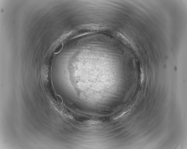 X0000087550255200705112128