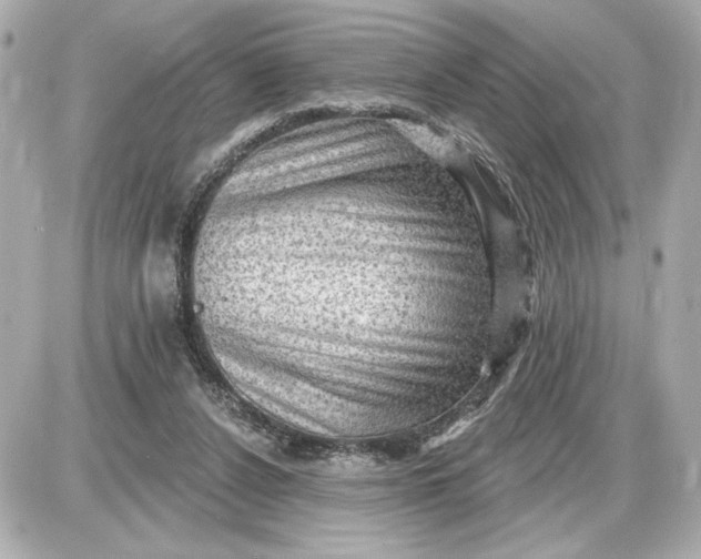 X0000087550256200705112129