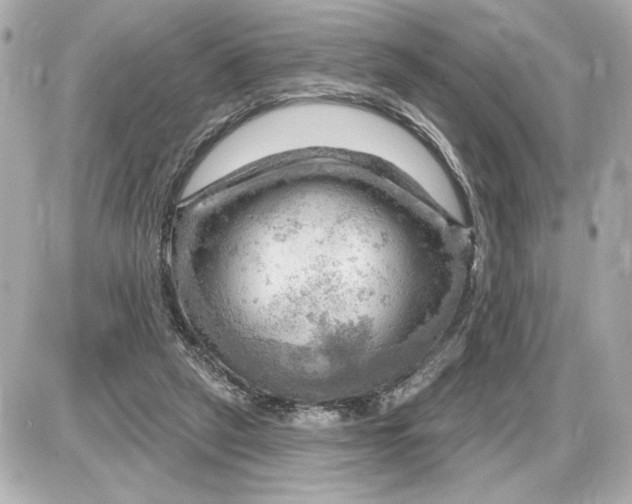 X0000087550257200705112129