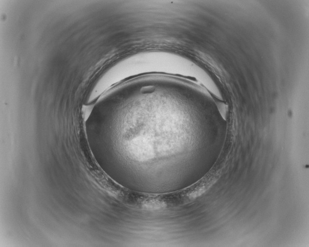 X0000087550258200705112129