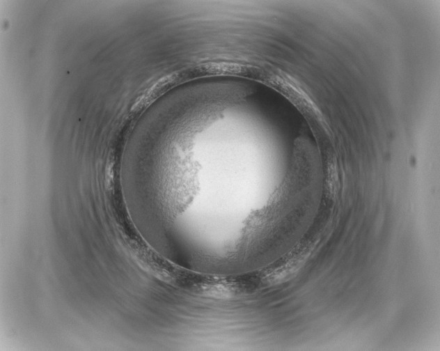 X0000087550259200705112129