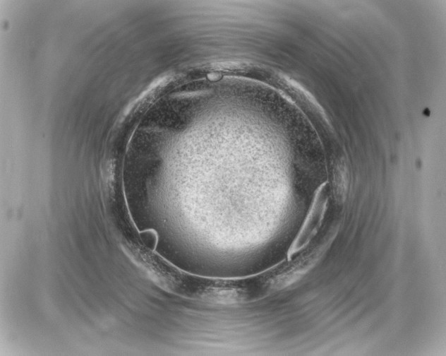 X0000087550260200705112129