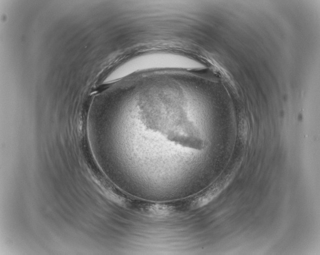 X0000087550261200705112129