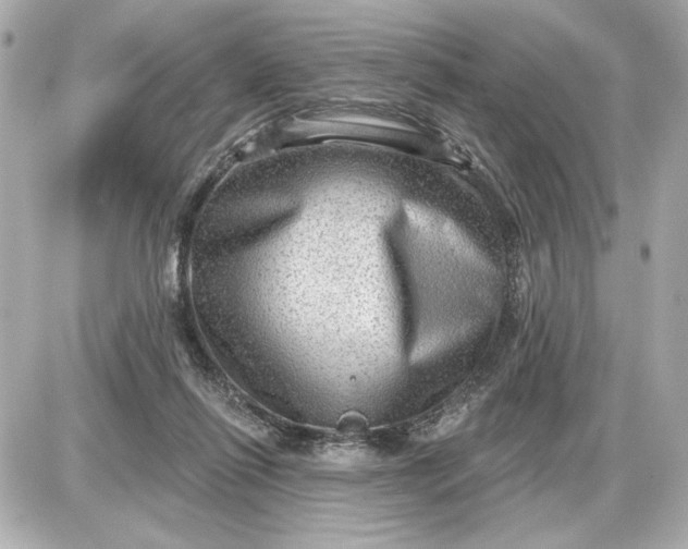 X0000087550262200705112129