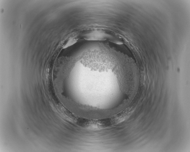 X0000087550263200705112129