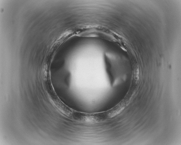 X0000087550264200705112129