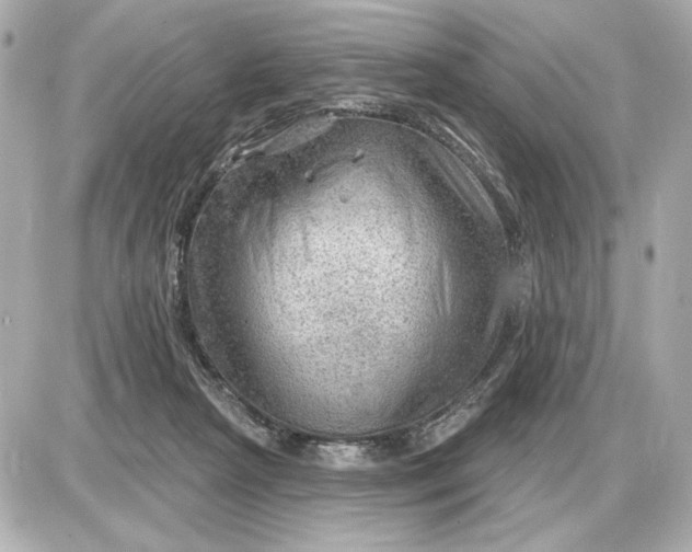 X0000087550265200705112129