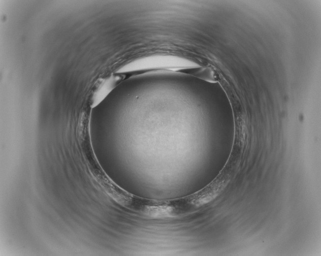 X0000087550266200705112129