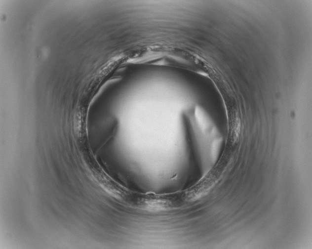 X0000087550268200705112129