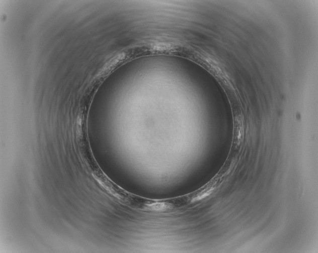 X0000087550269200705112129