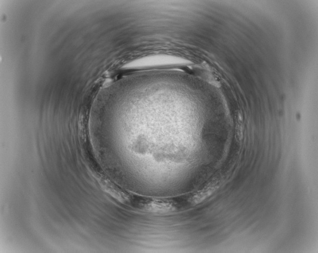 X0000087550270200705112129