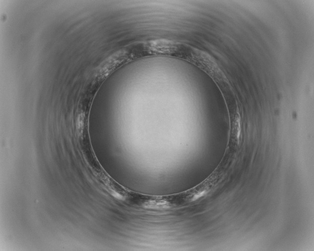 X0000087550271200705112129