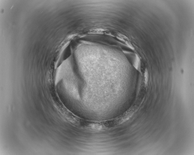 X0000087550272200705112129