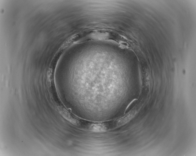 X0000087550275200705112129