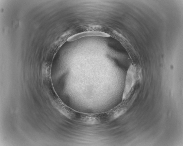 X0000087550276200705112129