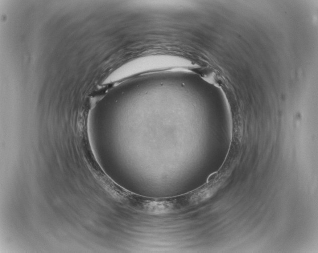 X0000087550277200705112129