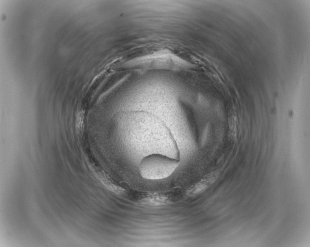 X0000087550278200705112129