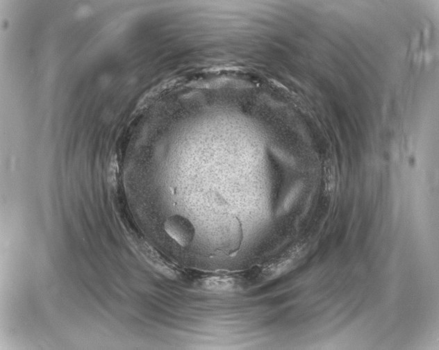 X0000087550279200705112129