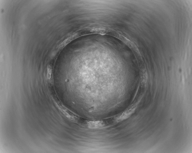 X0000087550281200705112129