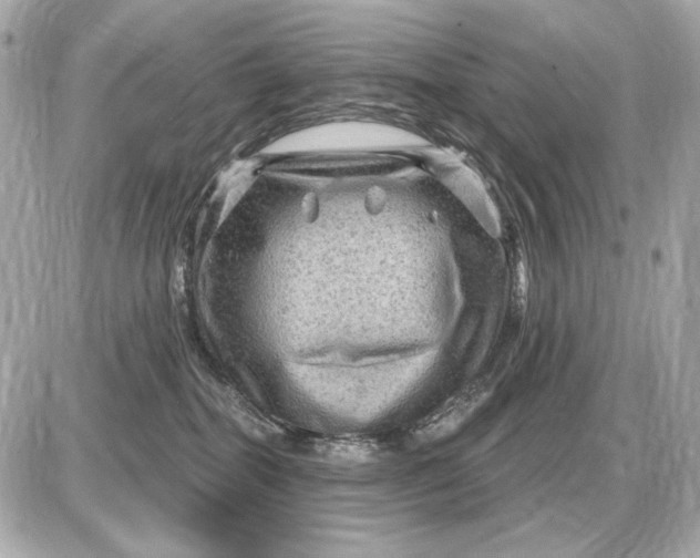 X0000087550282200705112129