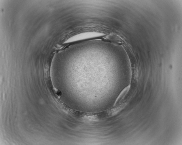 X0000087550283200705112129