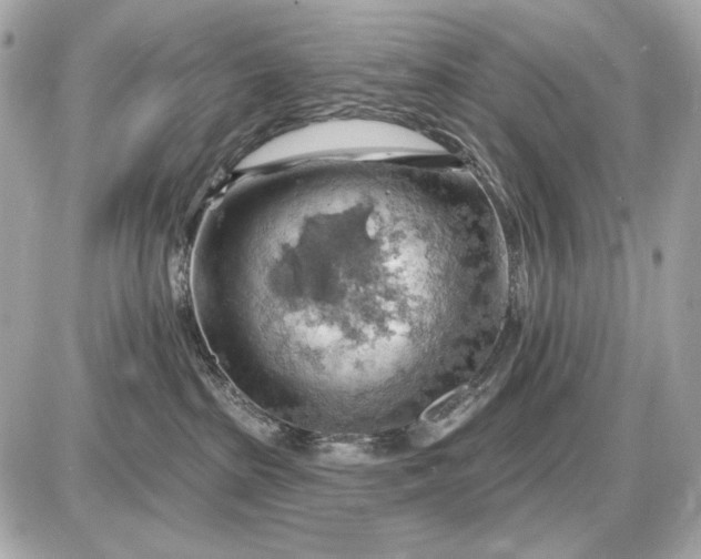 X0000087550285200705112129