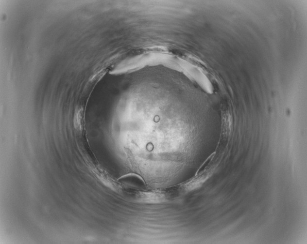 X0000087550286200705112129