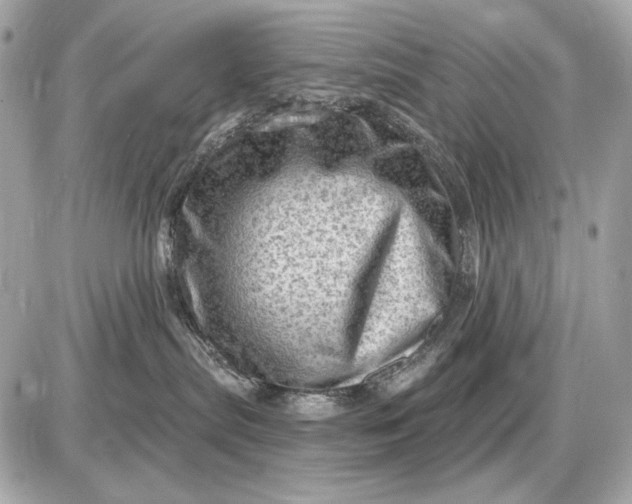 X0000087550287200705112129