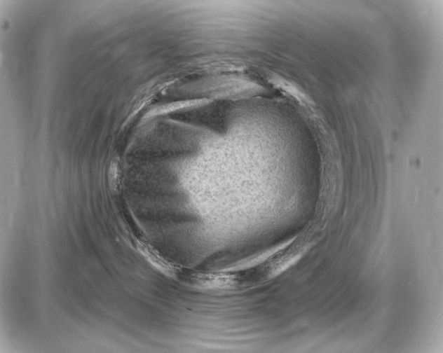 X0000087550288200705112129