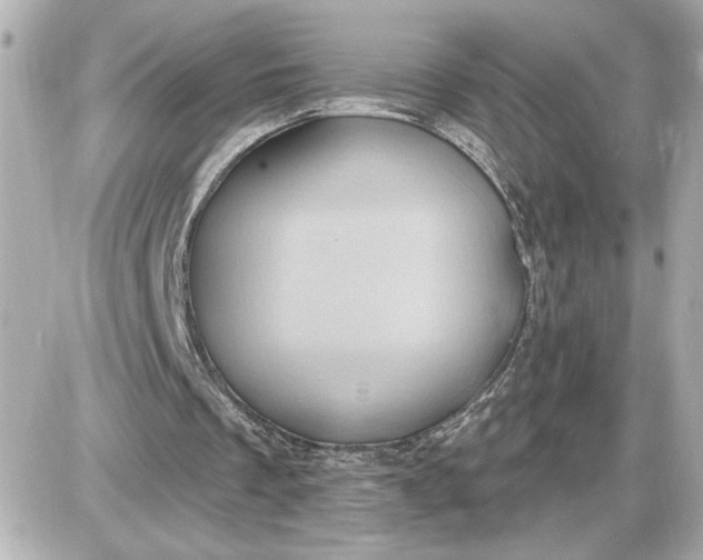 X0000087550289200705112128