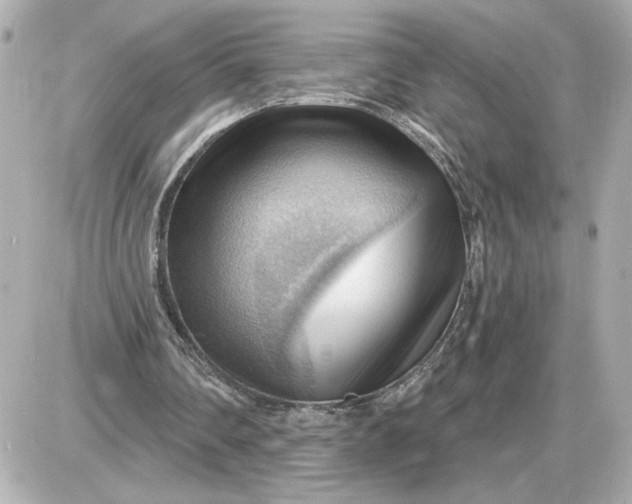 X0000087550290200705112128