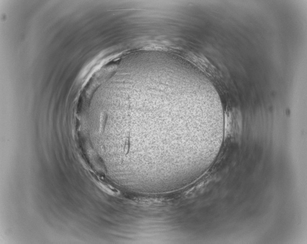 X0000087550291200705112128