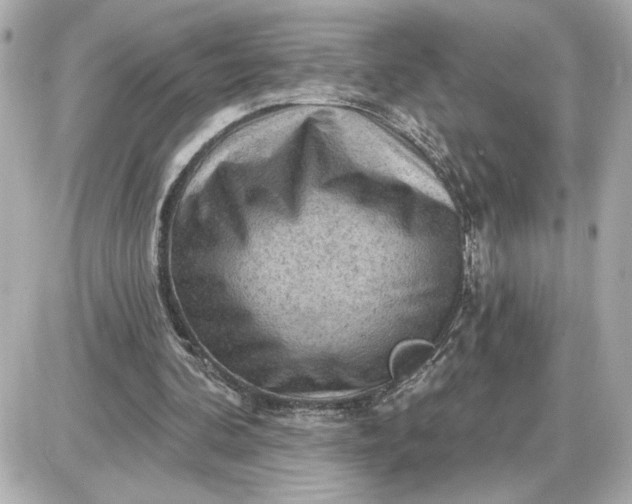 X0000087550292200705112128