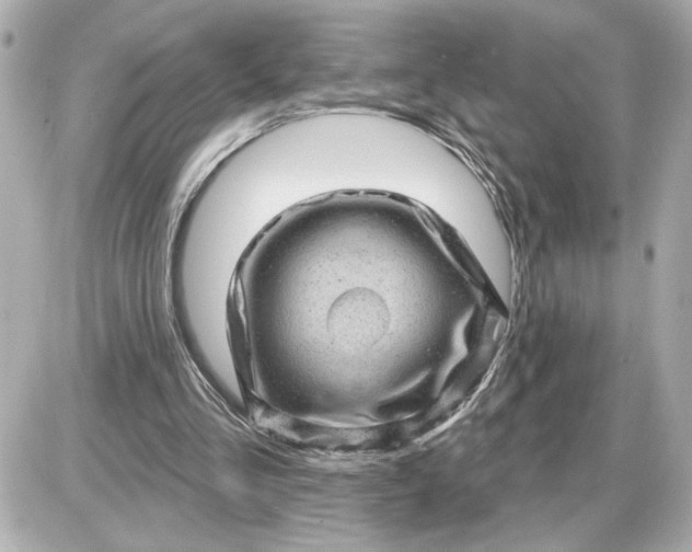 X0000087550293200705112128