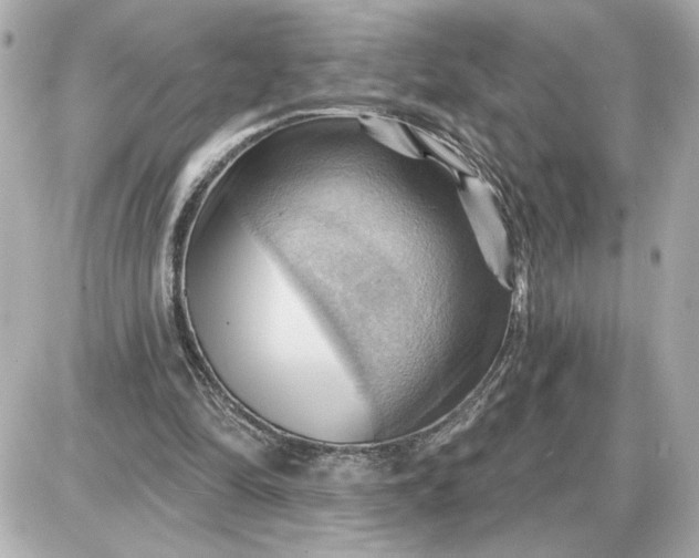 X0000087550294200705112128