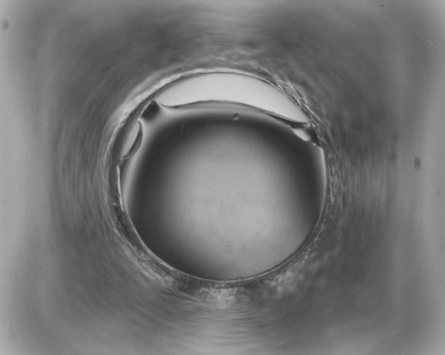 X0000087550295200705112128