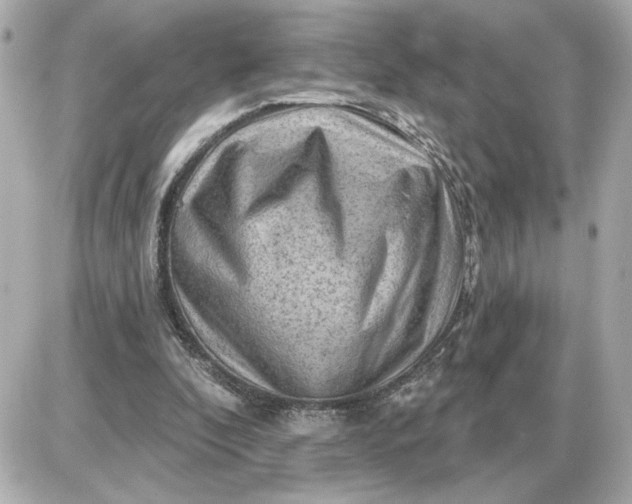 X0000087550296200705112128