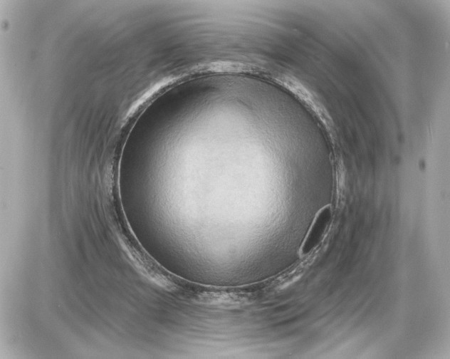 X0000087550297200705112128