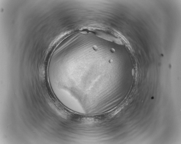 X0000087550298200705112128