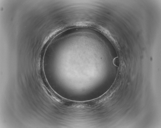 X0000087550299200705112128