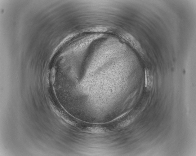 X0000087550300200705112128