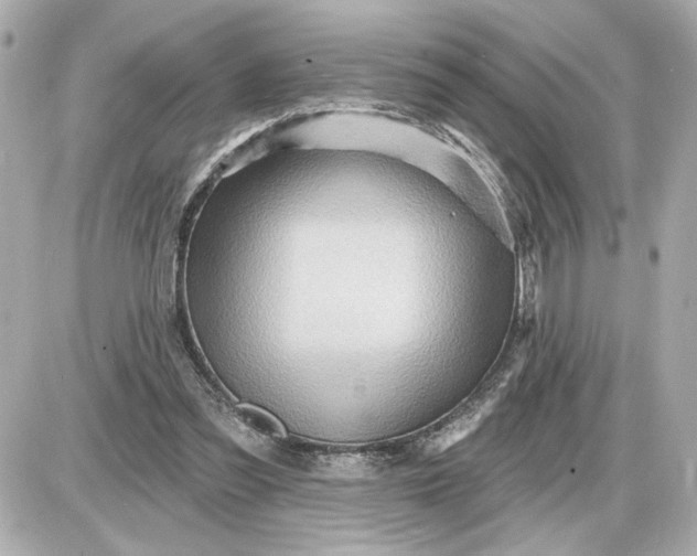 X0000087550301200705112128